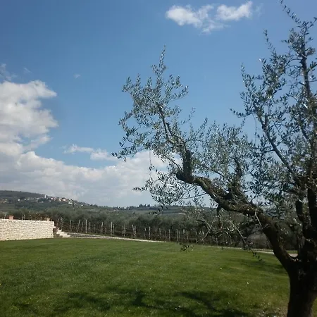La Piccola Mimosa * SantʼAmbrogio di Valpolicella