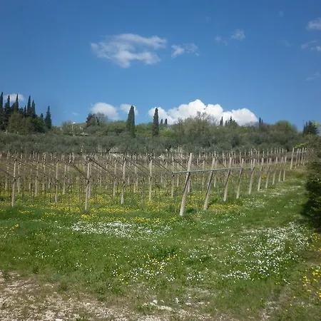 דירה La Piccola Mimosa SantʼAmbrogio di Valpolicella