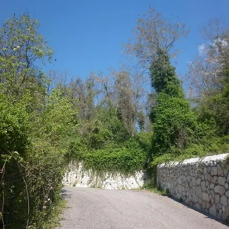 La Piccola Mimosa